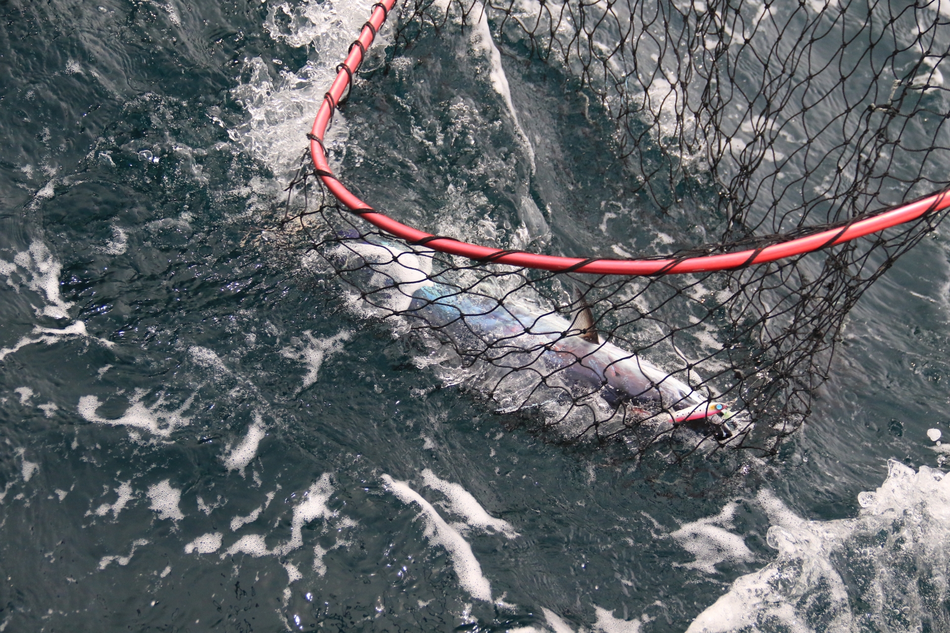 検証 堤防釣りで使うタモ網の深さは何センチがベストか まるまるクルーズ
